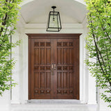 Gaze Door